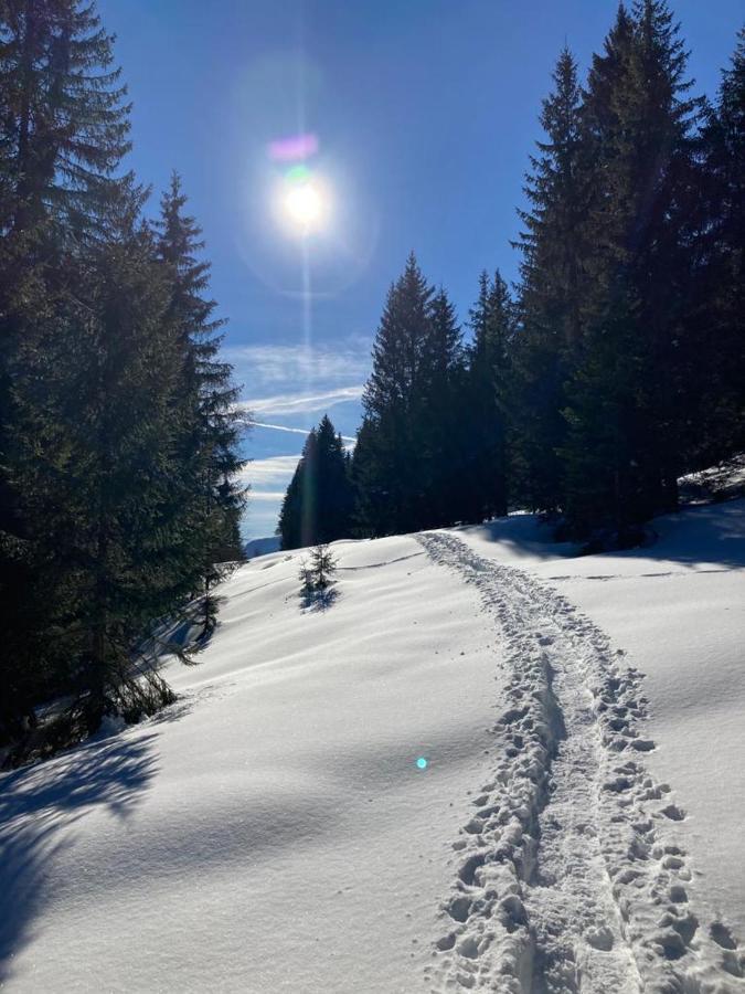 Apartment Kumitzblick Obersdorf エクステリア 写真
