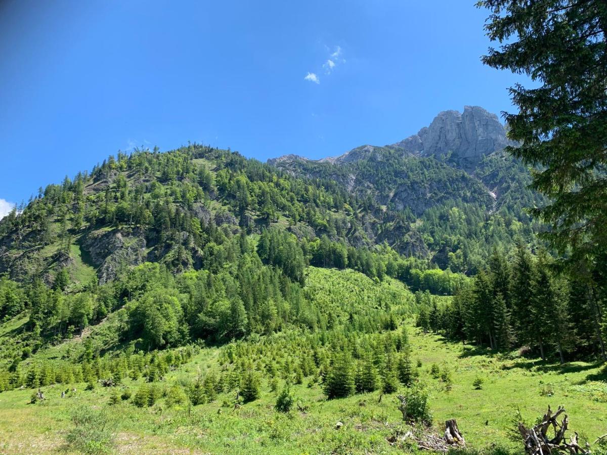 Apartment Kumitzblick Obersdorf エクステリア 写真